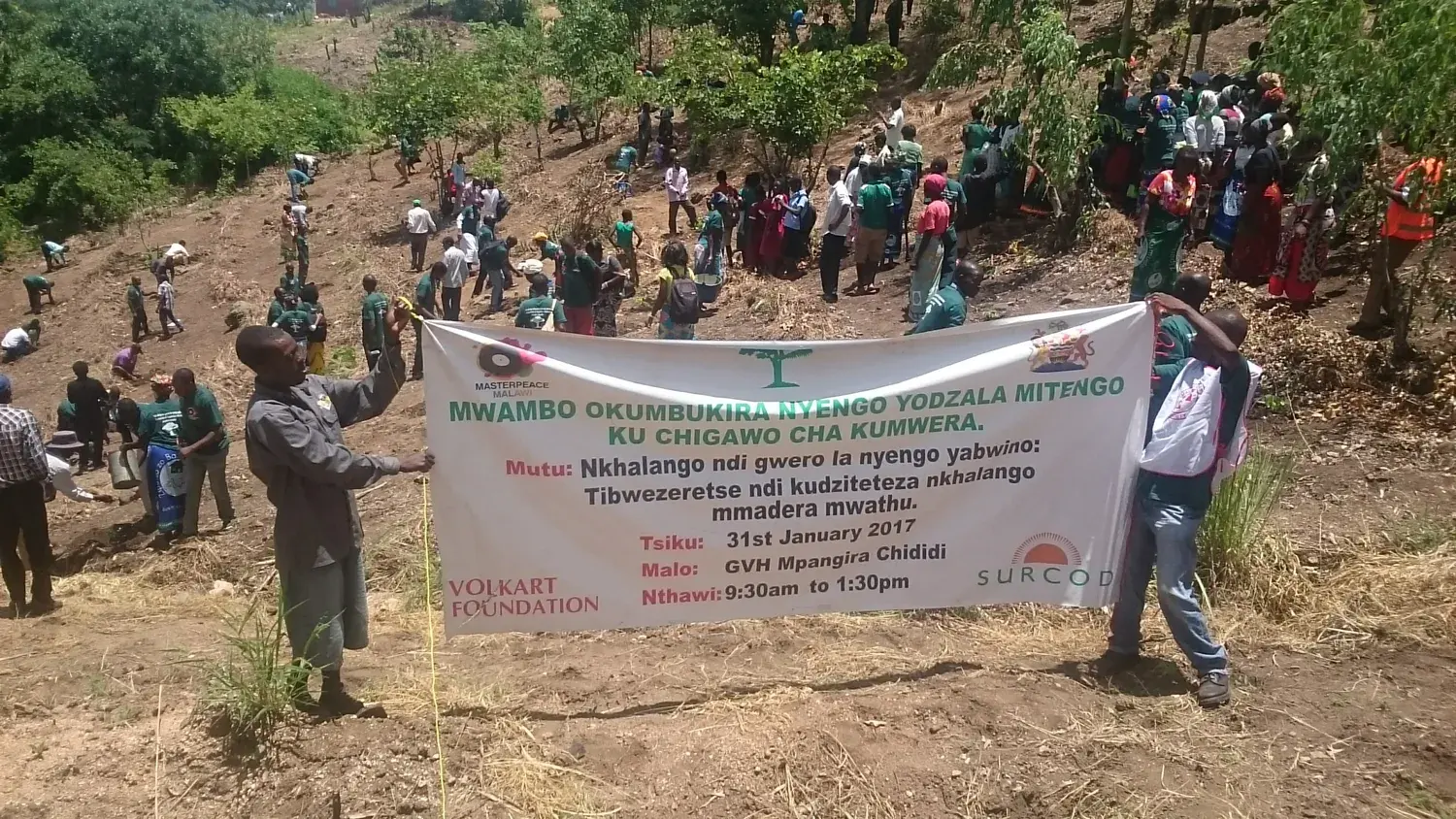 A community tree-planting activity taking place across a hillside
