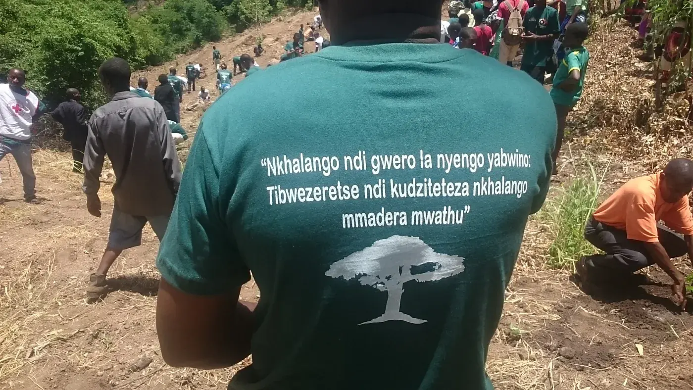 A participant wearing a tree-conservation message while overlooking a community planting activity